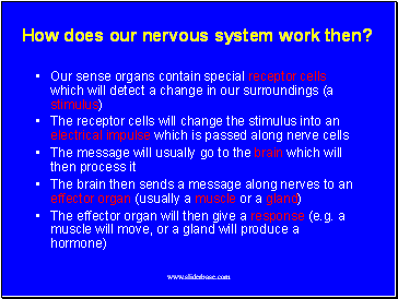 How does our nervous system work then?