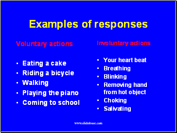 Examples of responses