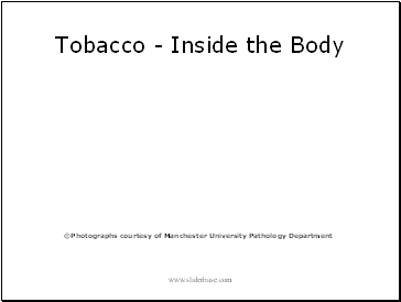 Tobacco - Inside the Body