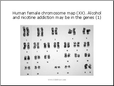 Human female chromosome map (XX). Alcohol and nicotine addiction may be in the genes (1)