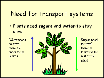 Need for transport systems