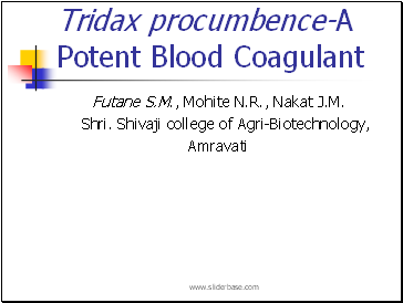 Tridax procumbence-A Potent Blood Coagulant