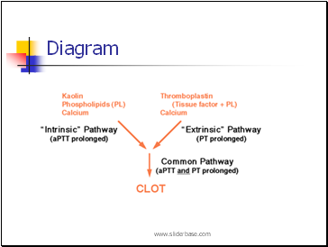 Diagram