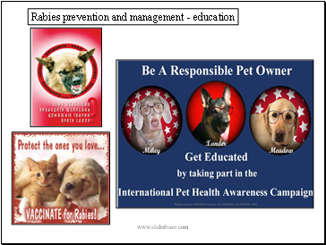 Rabies prevention and management - education