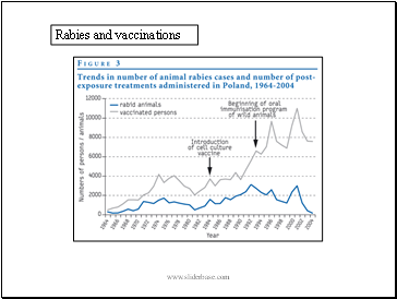 Rabies and vaccinations