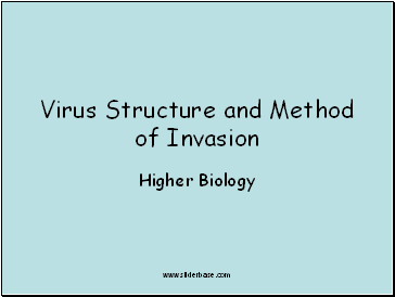 Virus Structure and Method of Invasion