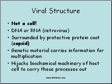 Viral Structure