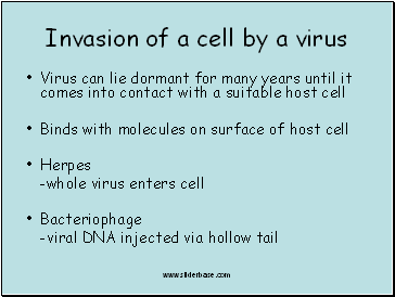 Invasion of a cell by a virus