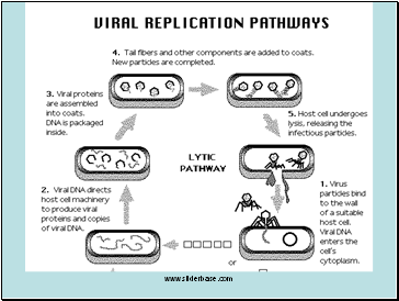 Alteration of Cell Instruction