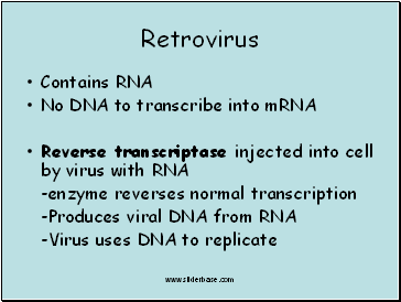 Retrovirus