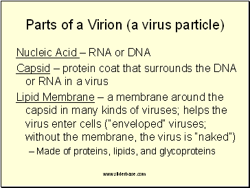 Parts of a Virion (a virus particle)