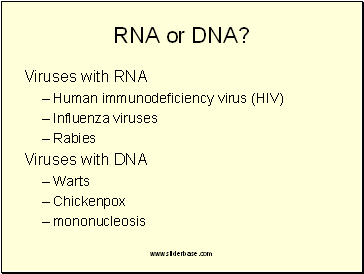 RNA or DNA?