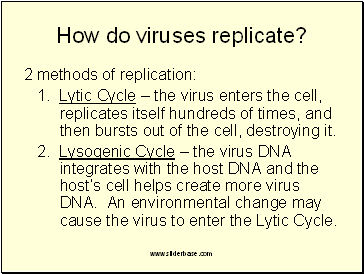 How do viruses replicate?