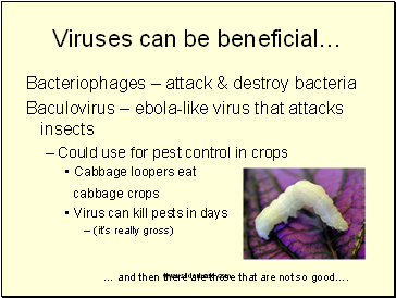 Viruses can be beneficial…