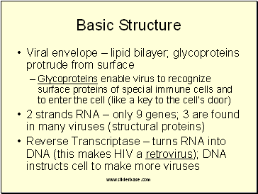 Basic Structure