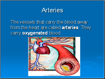 Arteries