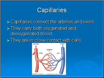 Capillaries