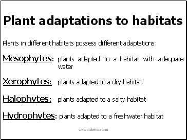 Plant adaptations to habitats