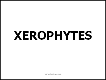 Xerophytes