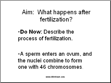 Aim: What happens after fertilization?