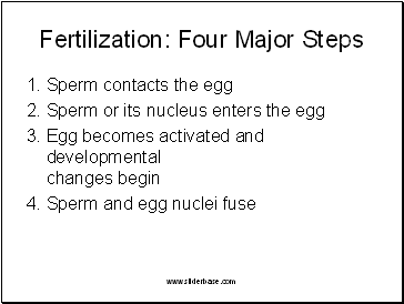 Fertilization: Four Major Steps