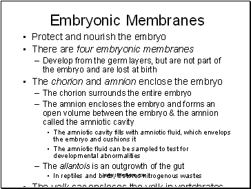 Embryonic Membranes