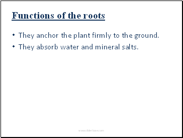 Functions of the roots