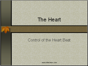 Control of the Heart Beat