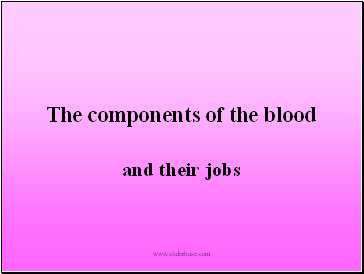 The components of the blood and their jobs