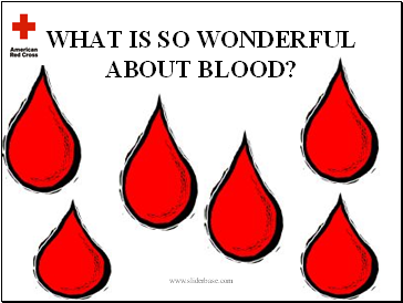 What is so wonderful about blood