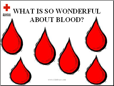 WHAT IS SO WONDERFUL ABOUT BLOOD?