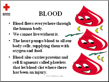 Blood