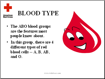 BLOOD TYPE