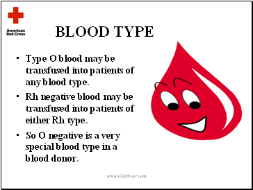 BLOOD TYPE