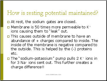 How is resting potential maintained?
