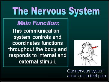 Main Function: