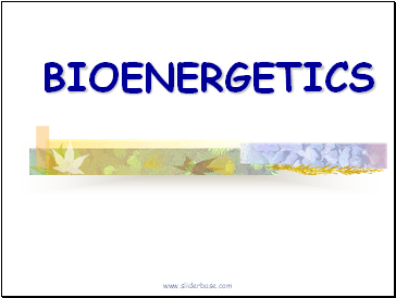 Bioenergetics