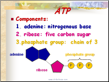 ATP