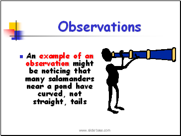 Observations