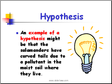 Hypothesis