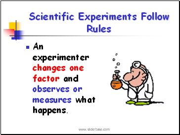 Scientific Experiments Follow Rules