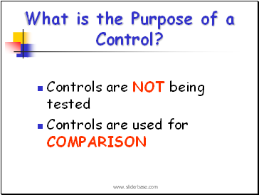 What is the Purpose of a Control?