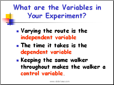 What are the Variables in Your Experiment?