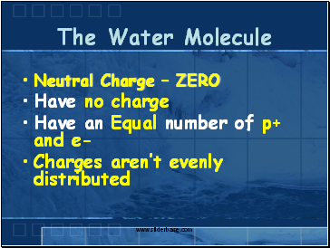 The Water Molecule