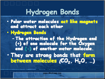 Hydrogen Bonds