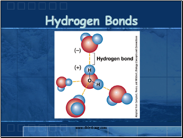 Hydrogen Bonds