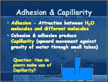 Adhesion & Capillarity