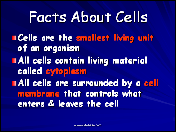 Facts About Cells