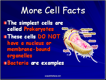 More Cell Facts