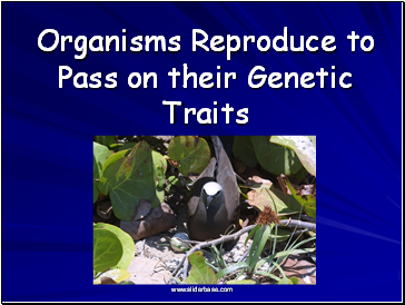 Organisms Reproduce to Pass on their Genetic Traits